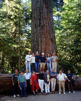 Foresta
