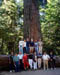 Foresta